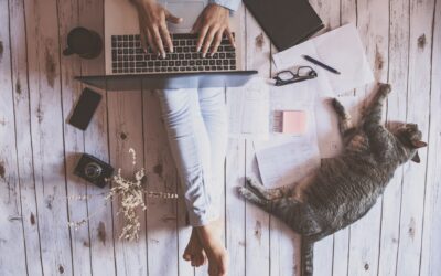 10 astuces pour être efficace en télétravail